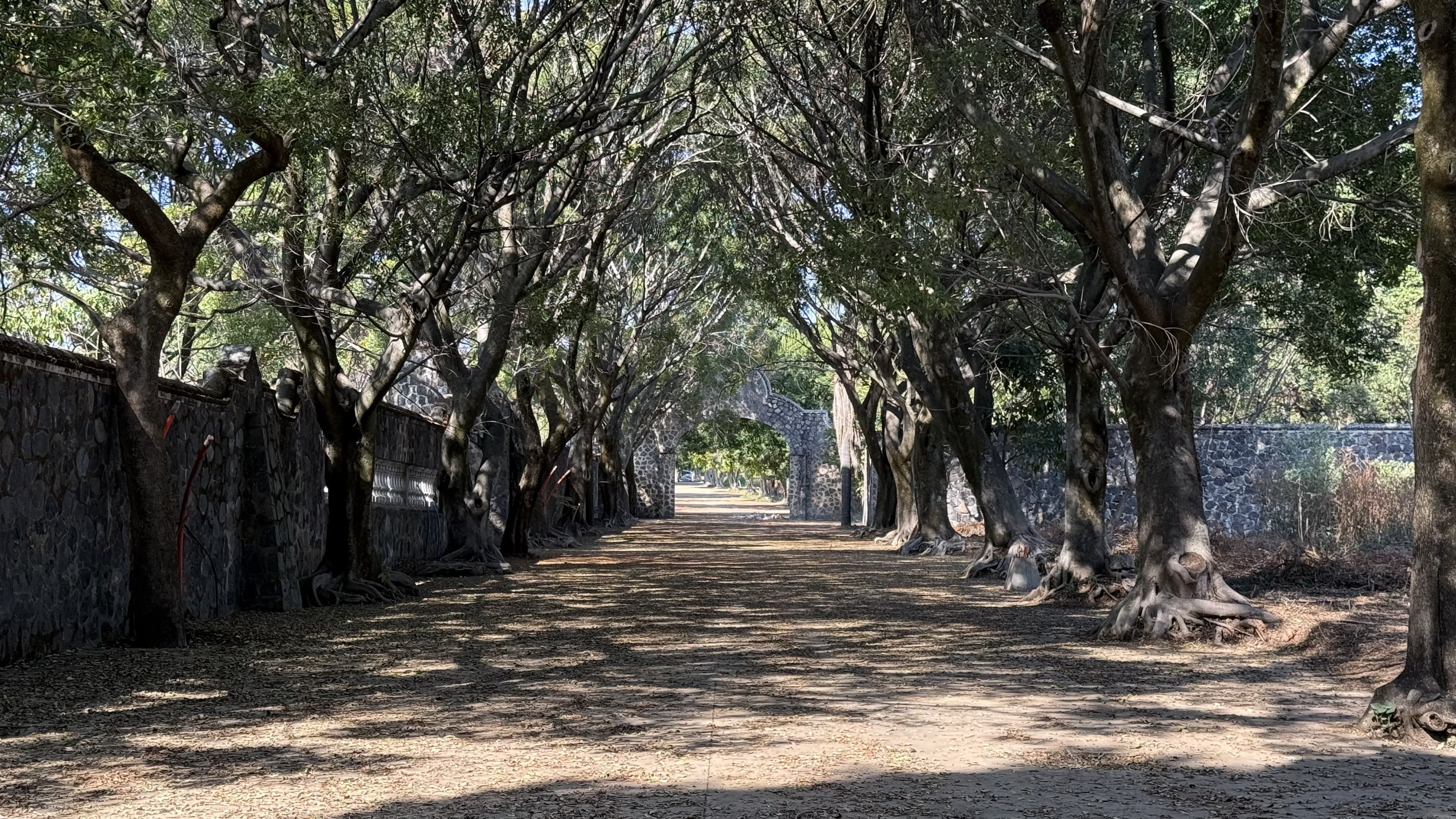 Lomas de Vistan Hermosa