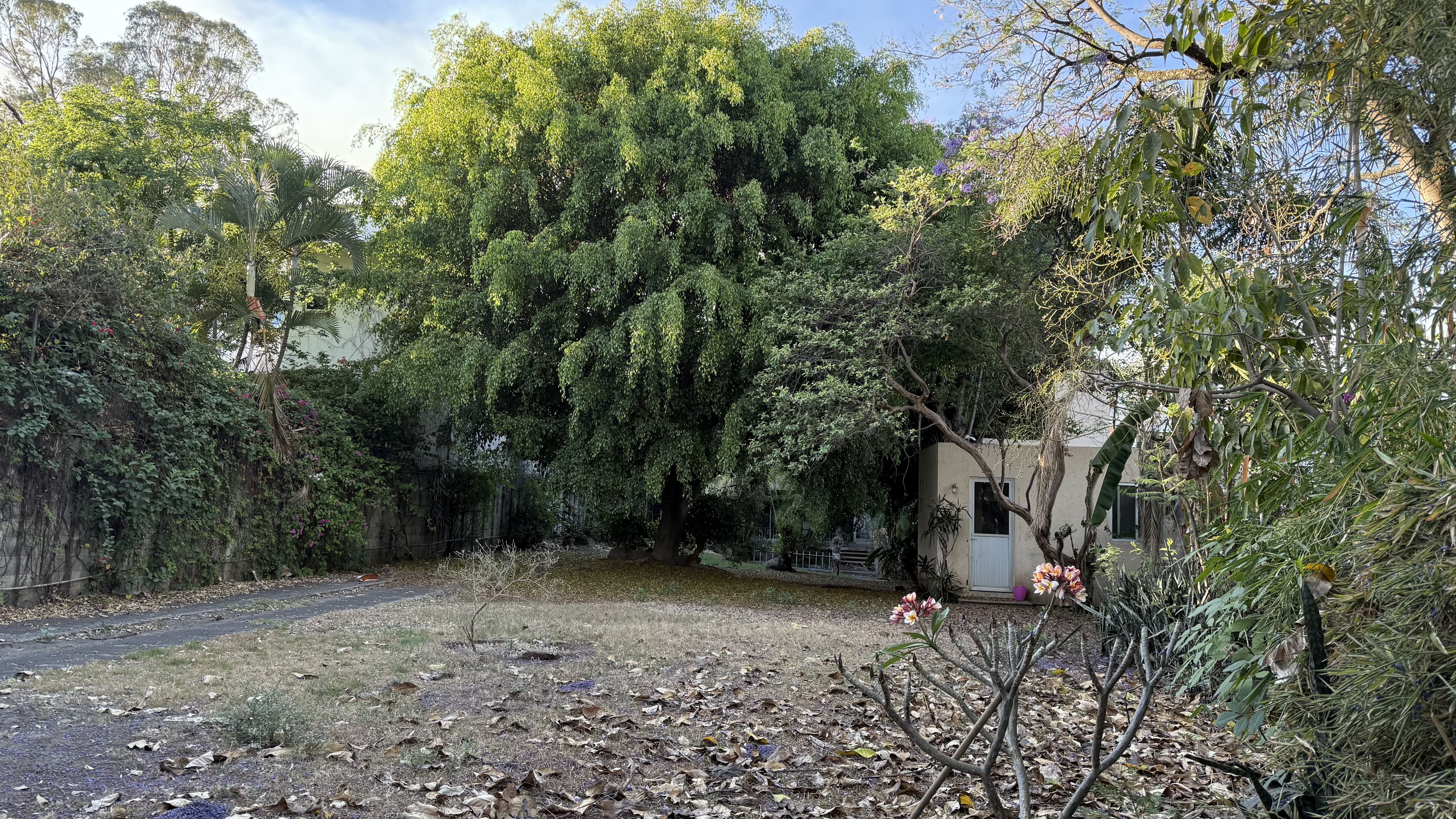 Jardines de Delicias