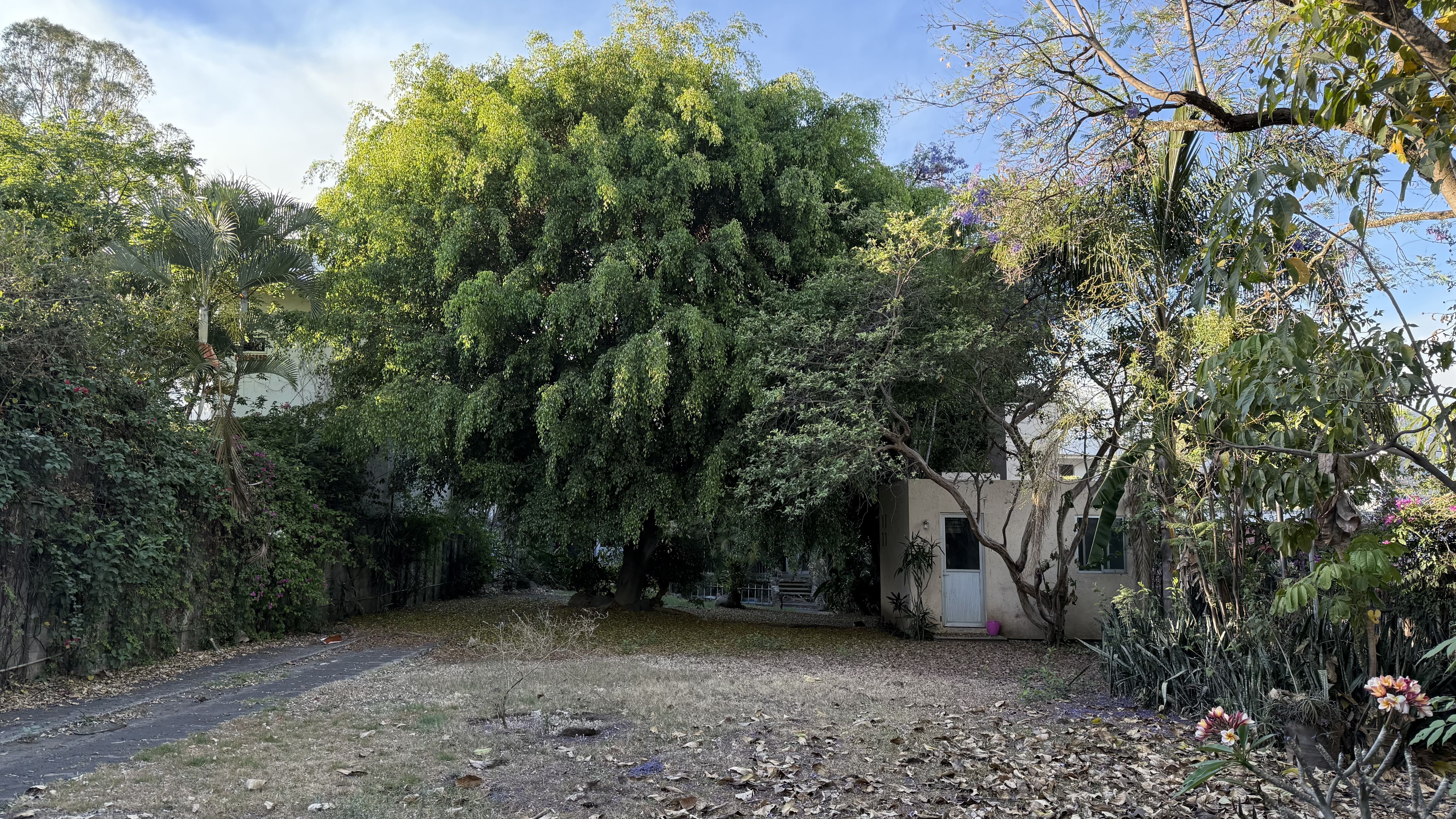 Jardines de Delicias