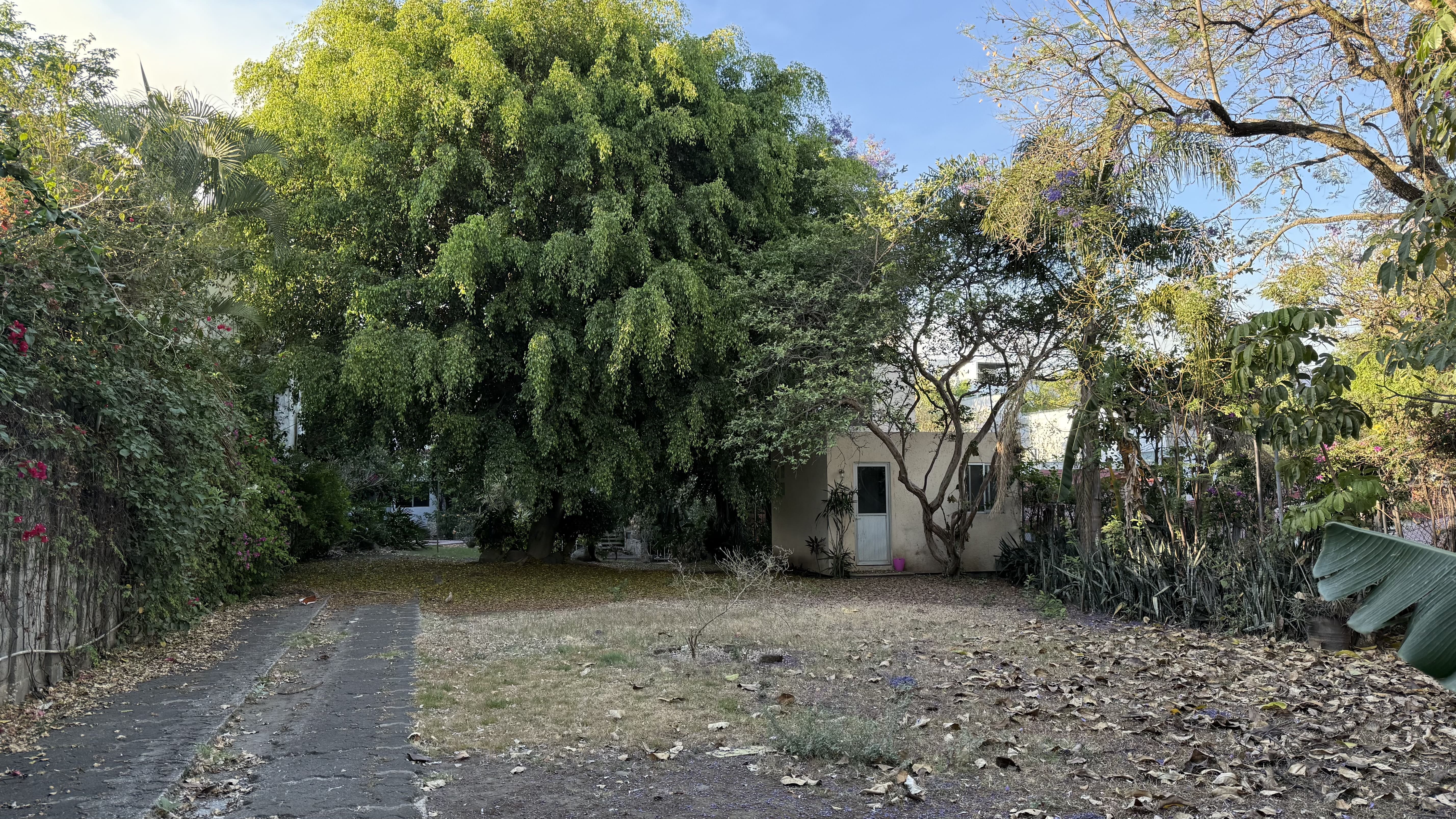 Jardines de Delicias