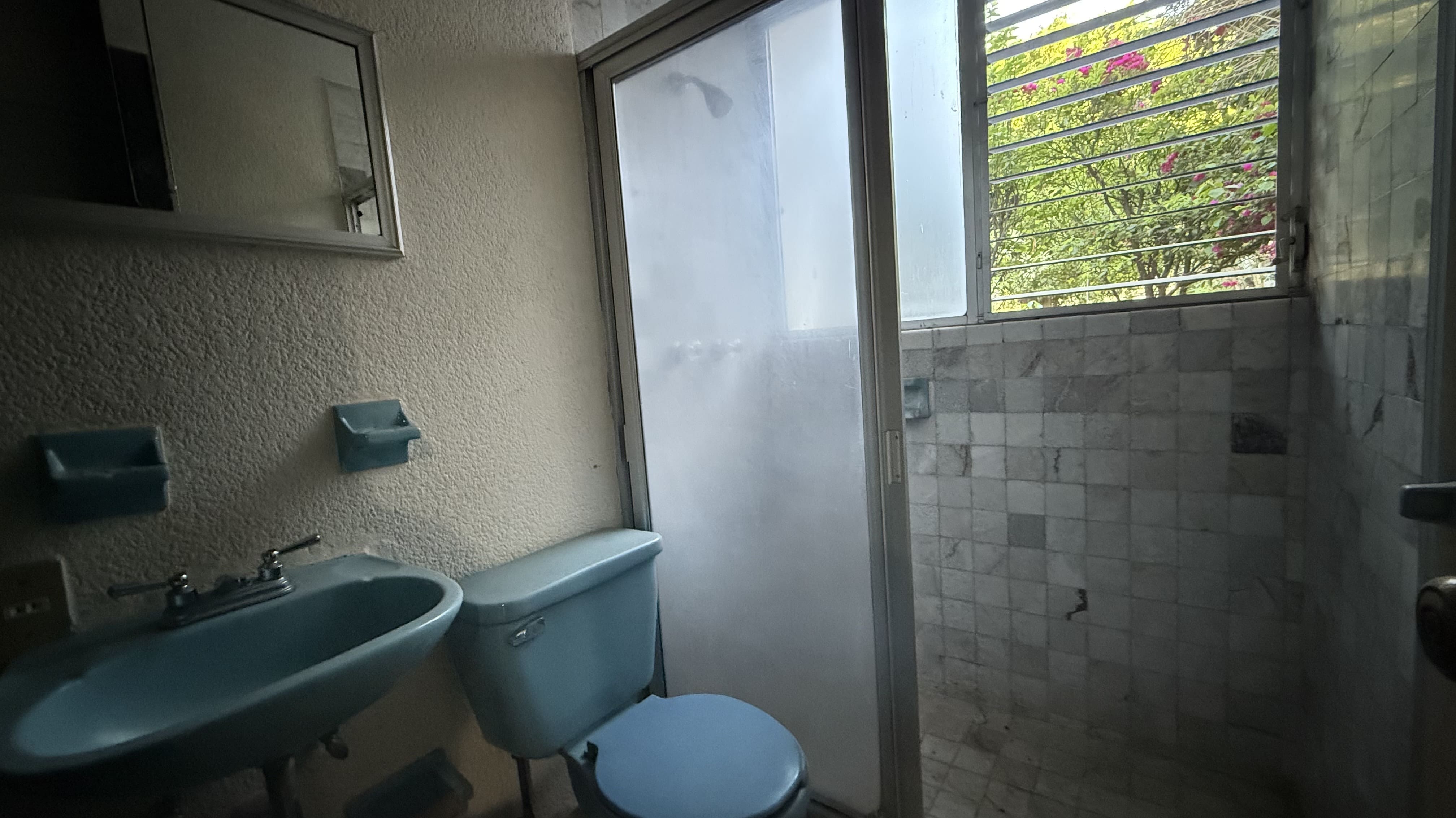 Jardines de Delicias