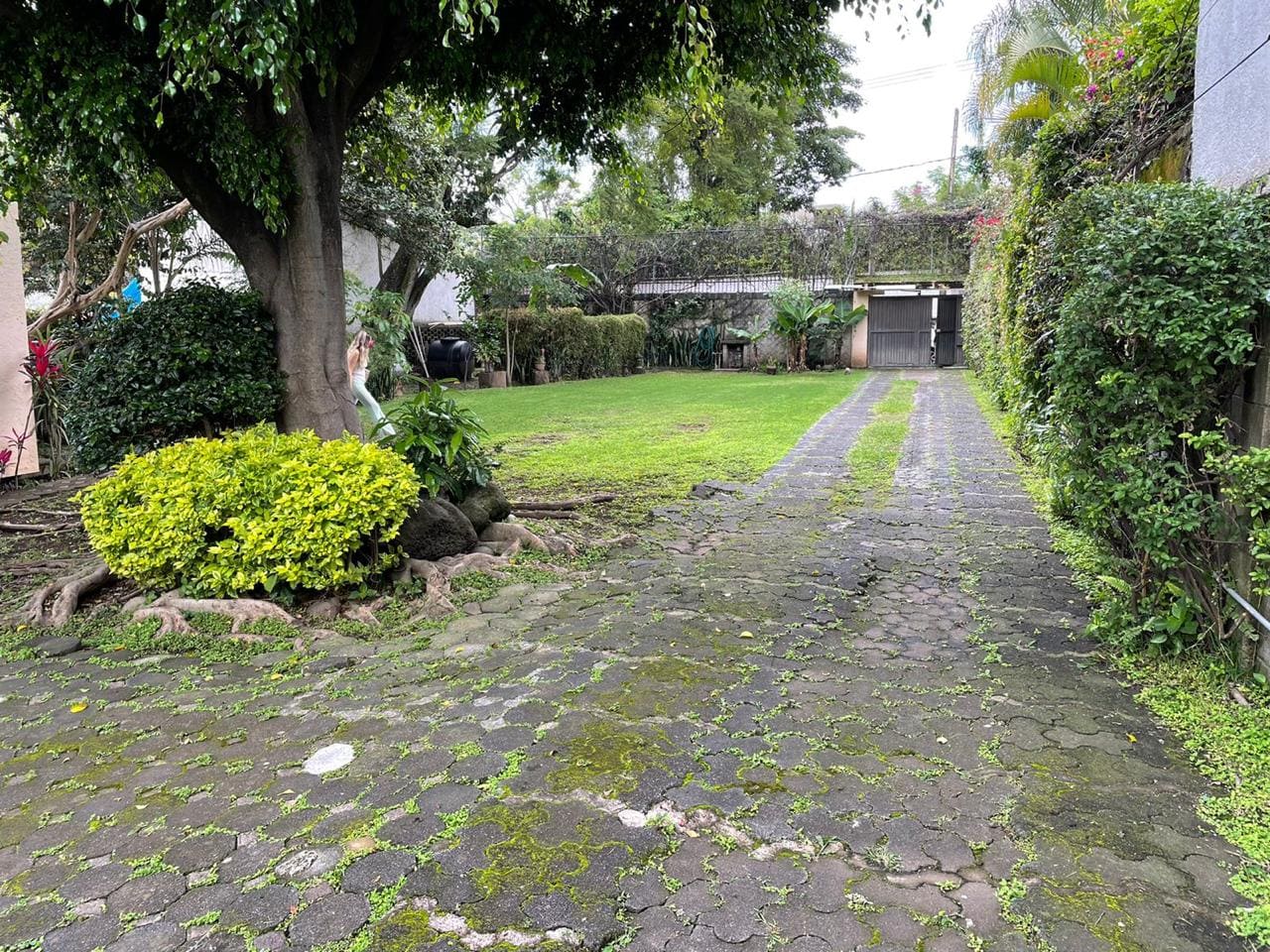 Jardines de Delicias
