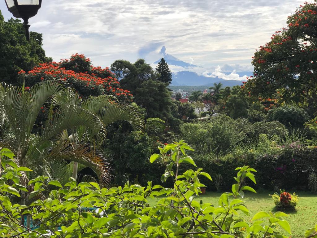 Jardines de Delicias