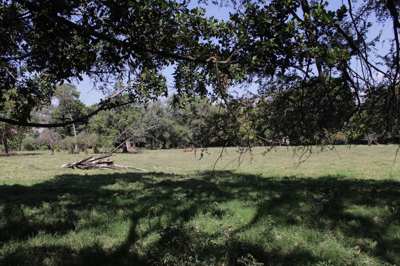 Centro Emiliano Zapata 
